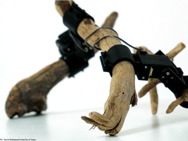 Unik! Peneliti Jepang Ciptakan Robot dari Ranting Pohon
