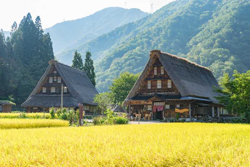 Takhayul Jadi Salah Satu Faktor Jepang Meluncurkan Program Rumah Murah