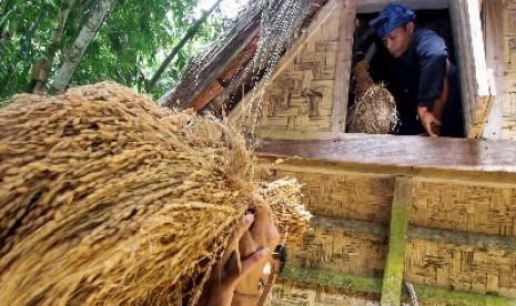 Madu Hutan Baduy Kian Diburu