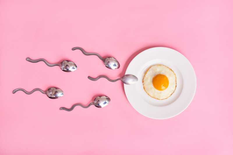 Mengenal Spermatogenesis, Pembentukan Sel Sperma di Testis Pria Mengenal Spermatogenesis, Pembentukan Sel Sperma di Testis Pria