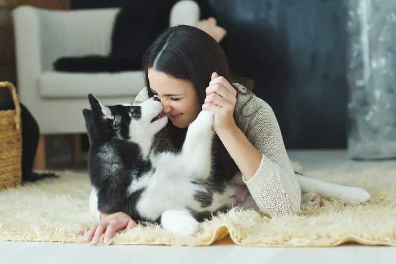 3 Risiko Kesehatan yang Mungkin Terjadi Jika Anda Dijilat Anjing 3 Risiko Kesehatan yang Mungkin Terjadi Jika Anda Dijilat Anjing