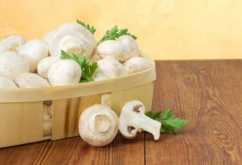 Berbagai Manfaat dan Risiko Makan Jamur Bagi Kesehatan Berbagai Manfaat dan Risiko Makan Jamur Bagi Kesehatan