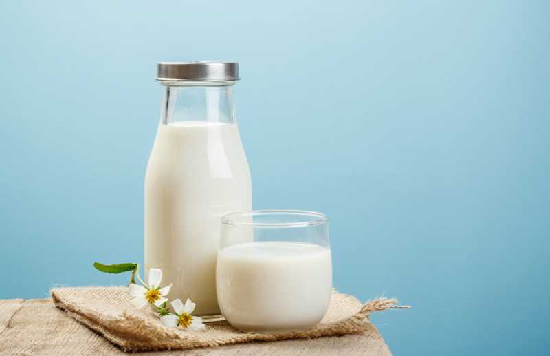 Benarkah Susu Beruang Ampuh untuk Mengobati Tipes? Benarkah Susu Beruang Ampuh untuk Mengobati Tipes?