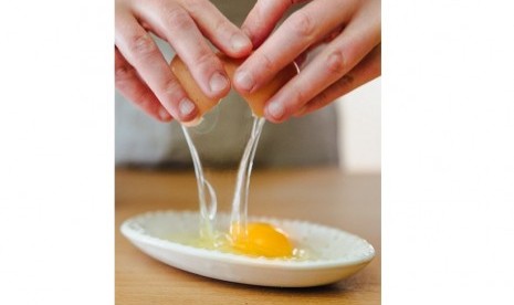 Telur dan Susu Tingkatkan Kualitas Pertumbuhan Anak-Anak 