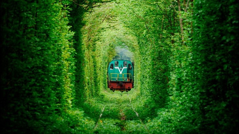 Melihat Keindahan Tunnel of Love, Terowongan Cantik di Ukraina