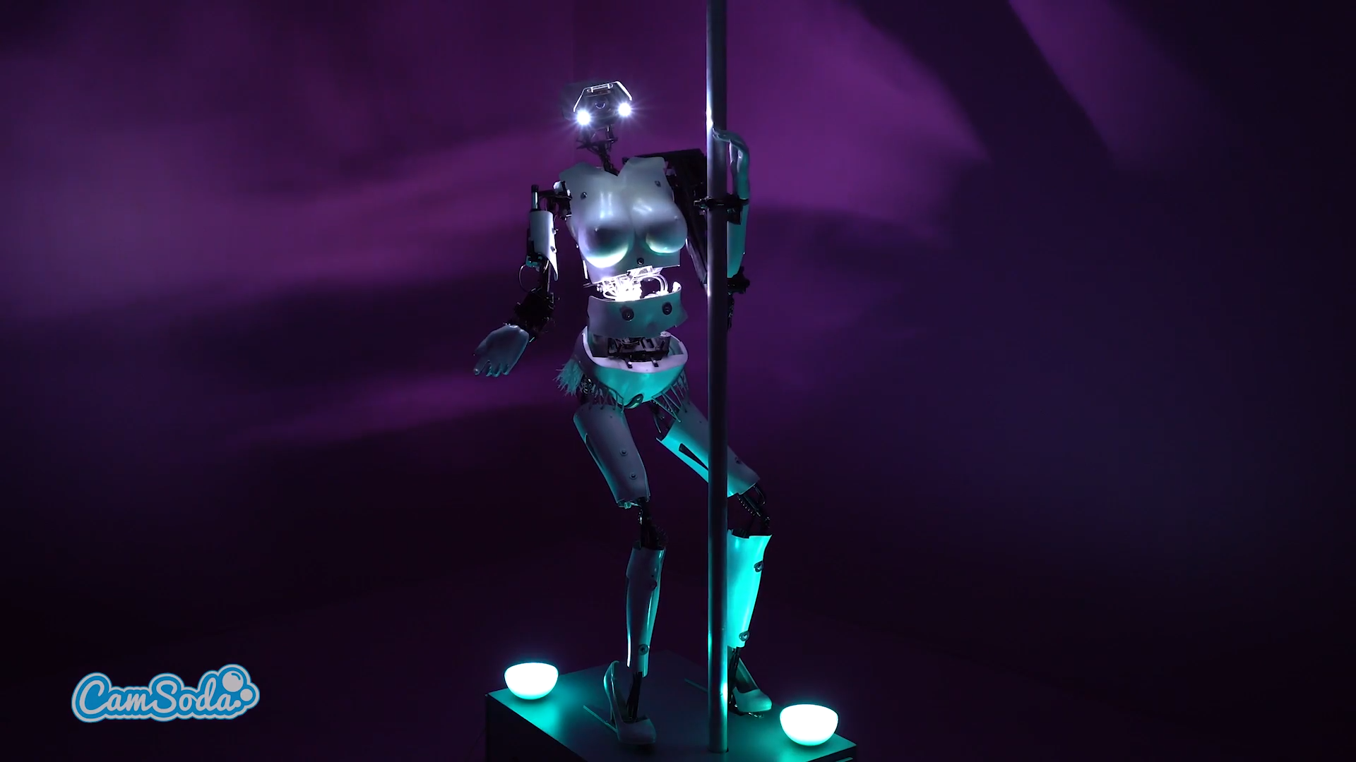 Cardi-Bot, Robot Seks Pertama dengan Kendali Jarak Jauh