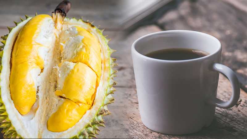 Wah, Kopi Durian Bikin Sakit 7 Orang, Ternyata... Wah, Kopi Durian Bikin Sakit 7 Orang, Ternyata...